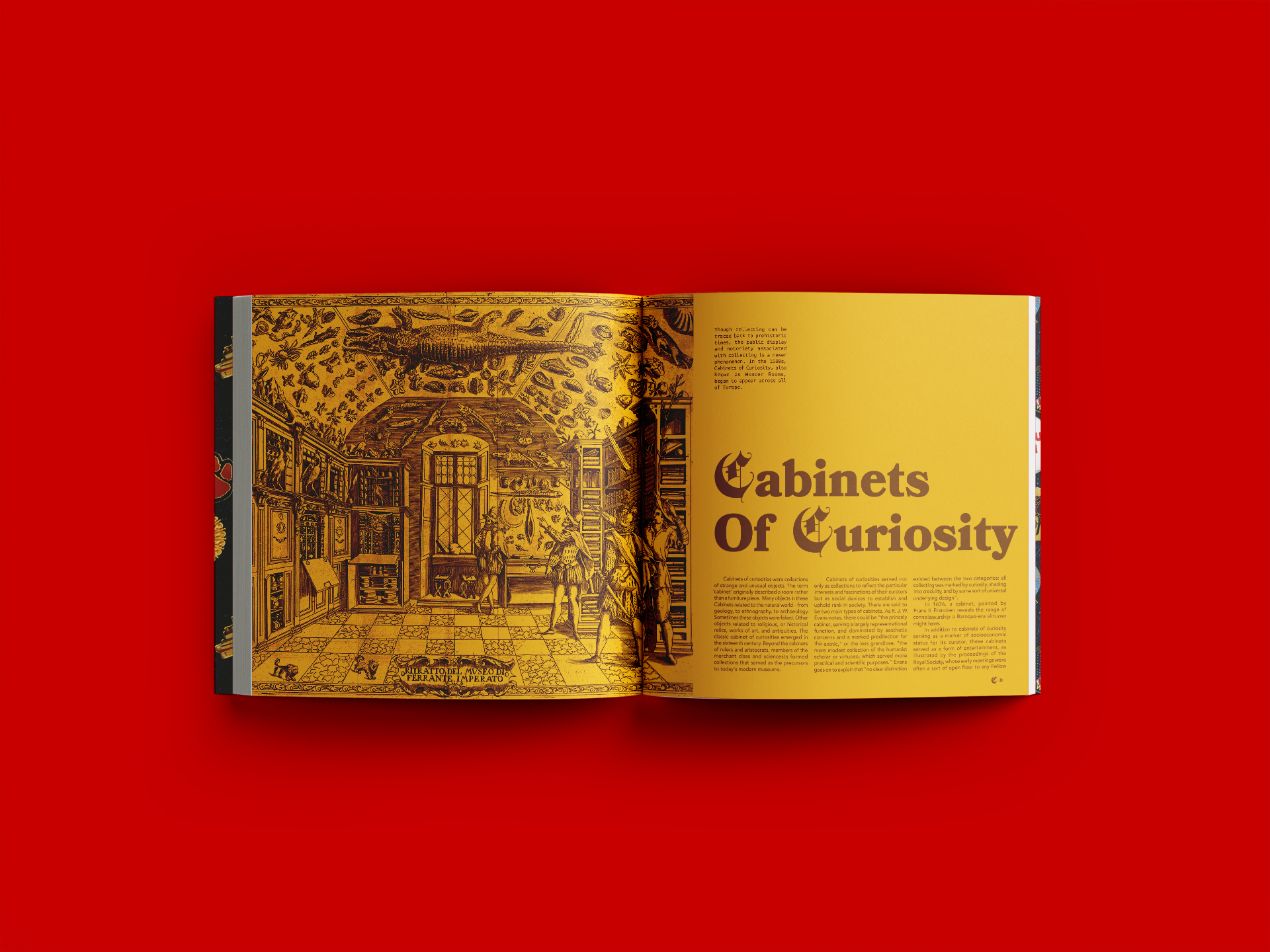 Curios_Spreads_Cabinets_Of_Curiosity_01